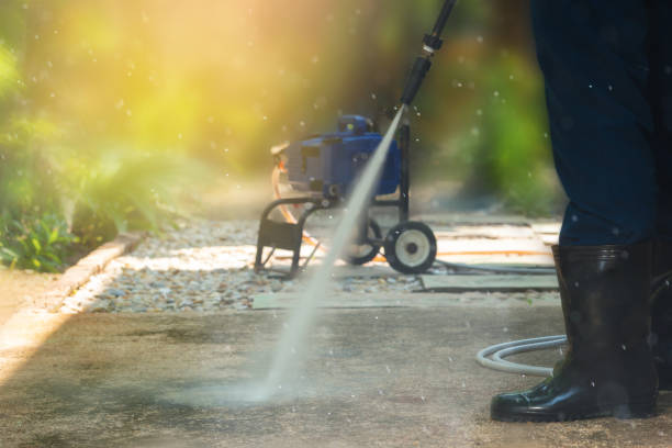 Best Roof Washing  in Edgewater, FL